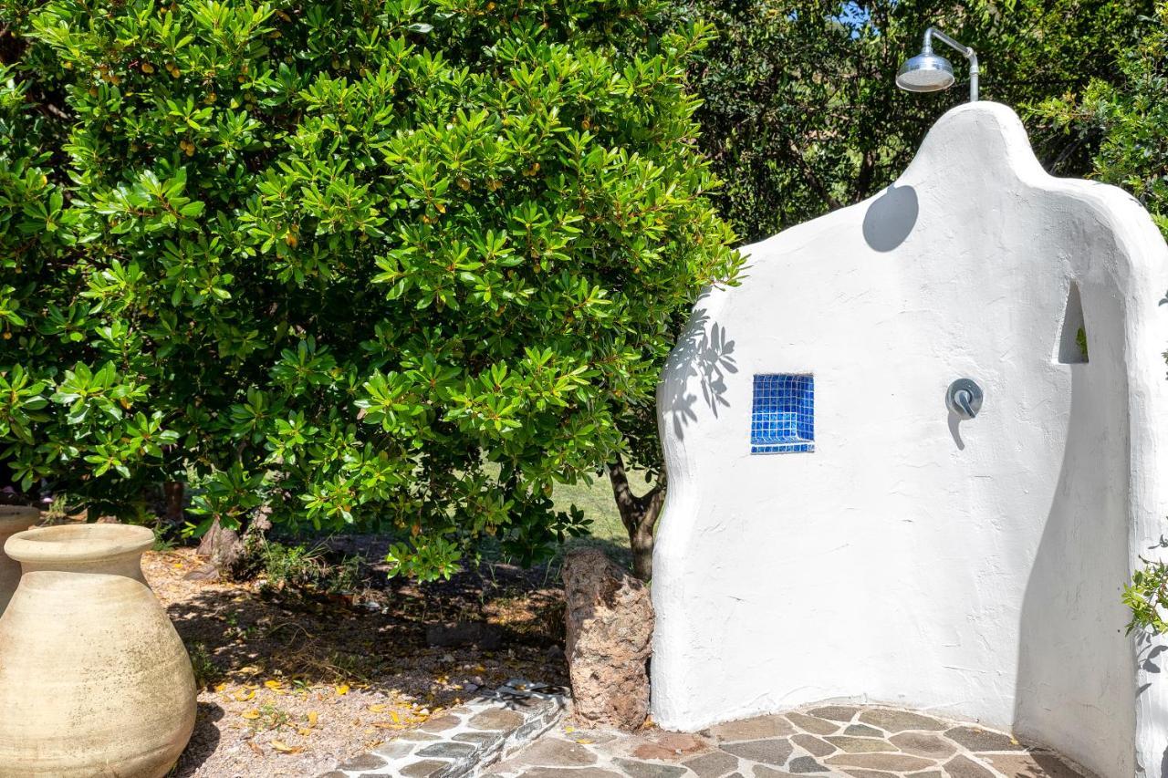 Sardinia Re - Casa Luisa With Pool Lejlighed Alghero Eksteriør billede